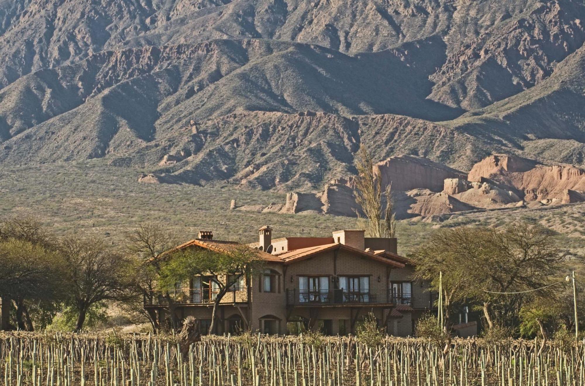 La Casa De La Bodega - Wine Boutique Hotel Cafayate Bagian luar foto