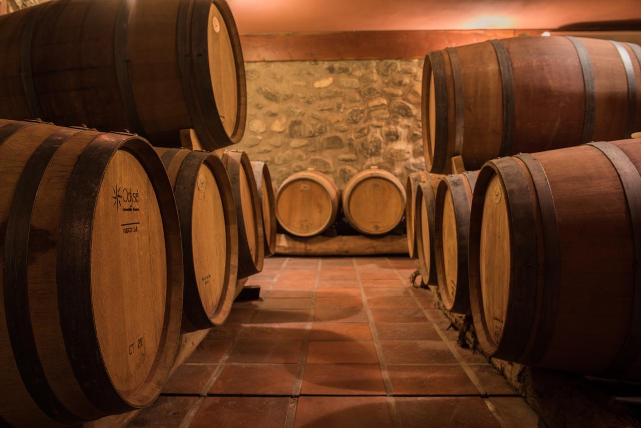 La Casa De La Bodega - Wine Boutique Hotel Cafayate Bagian luar foto