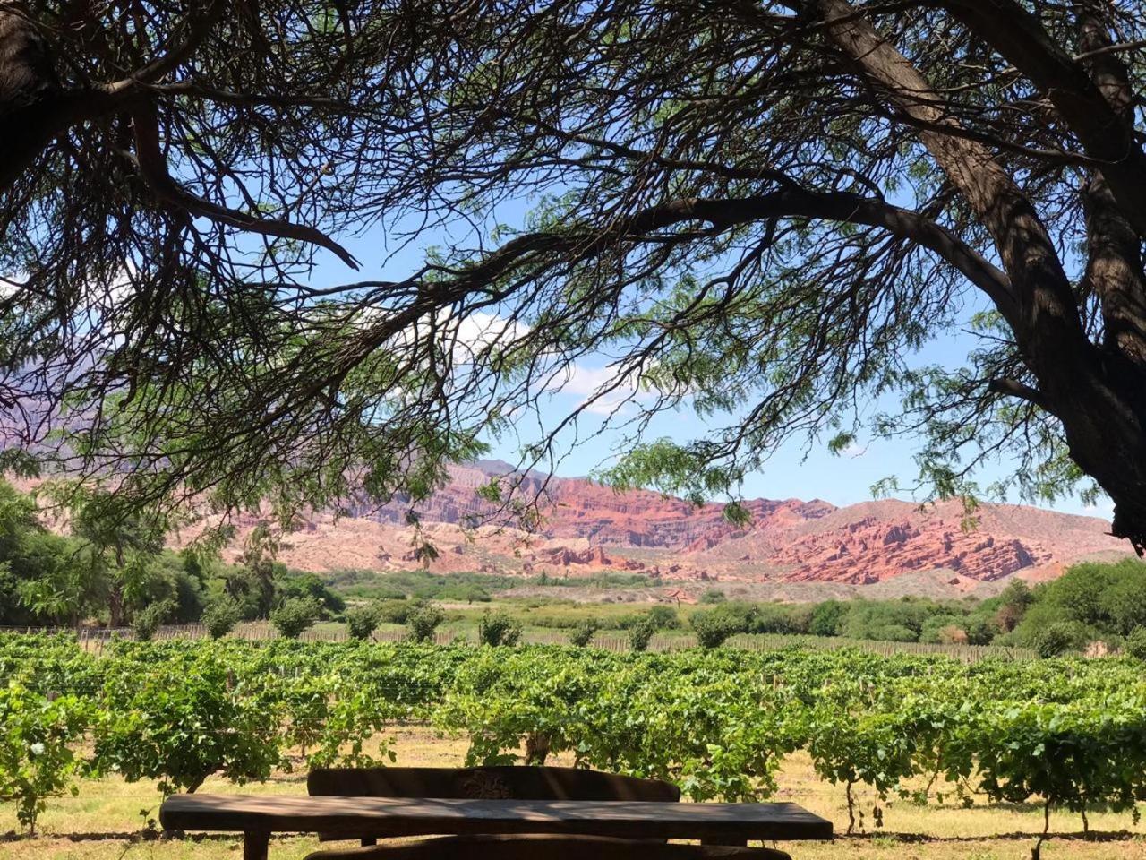 La Casa De La Bodega - Wine Boutique Hotel Cafayate Bagian luar foto